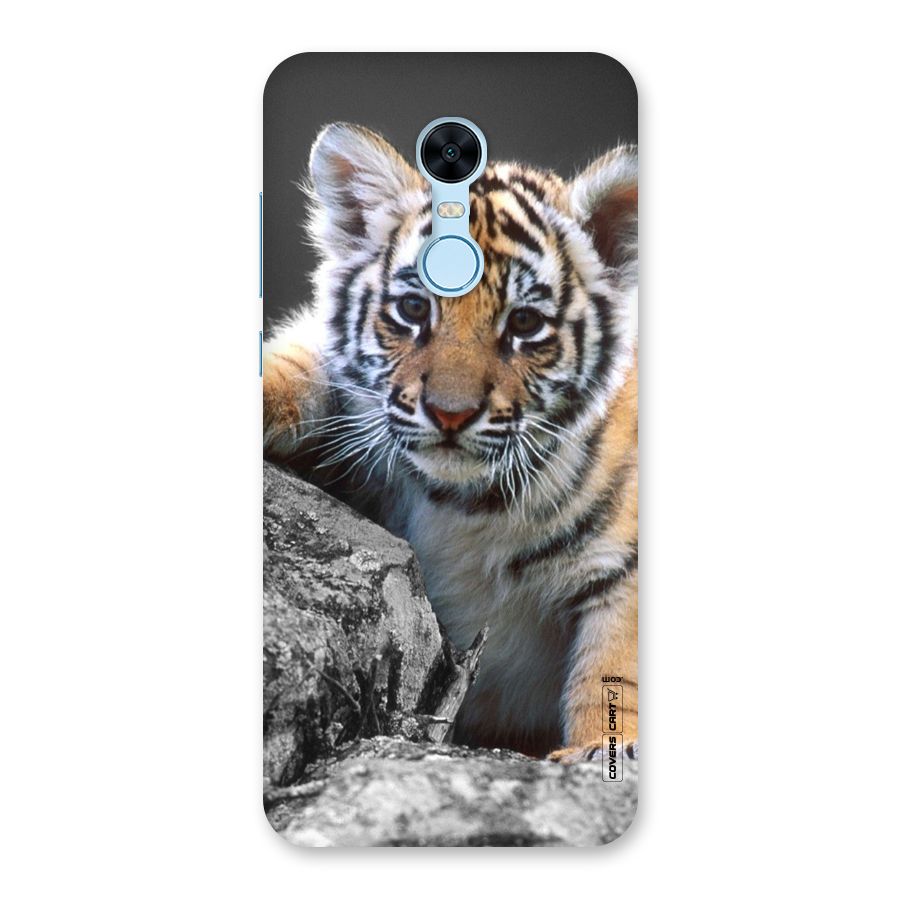 Animal Beauty Back Case for Redmi Note 5