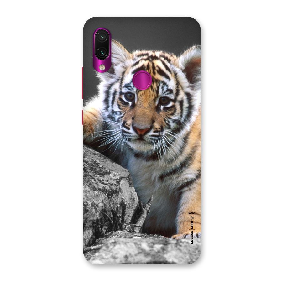 Animal Beauty Back Case for Redmi Note 7 Pro