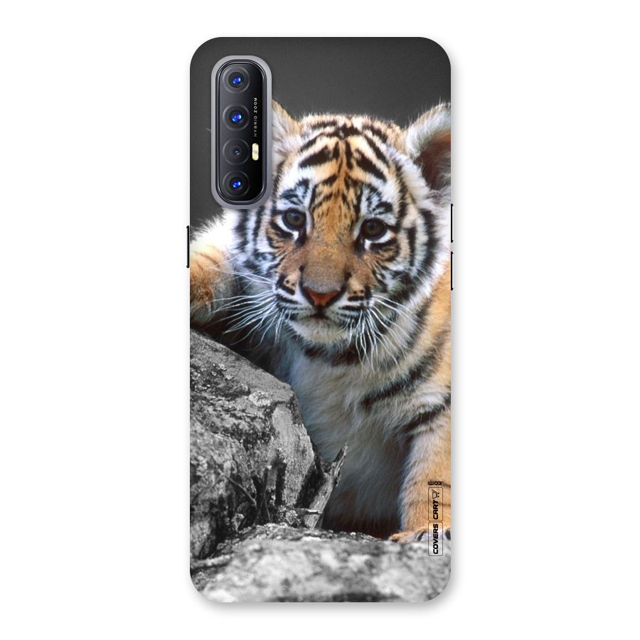 Animal Beauty Back Case for Reno3 Pro