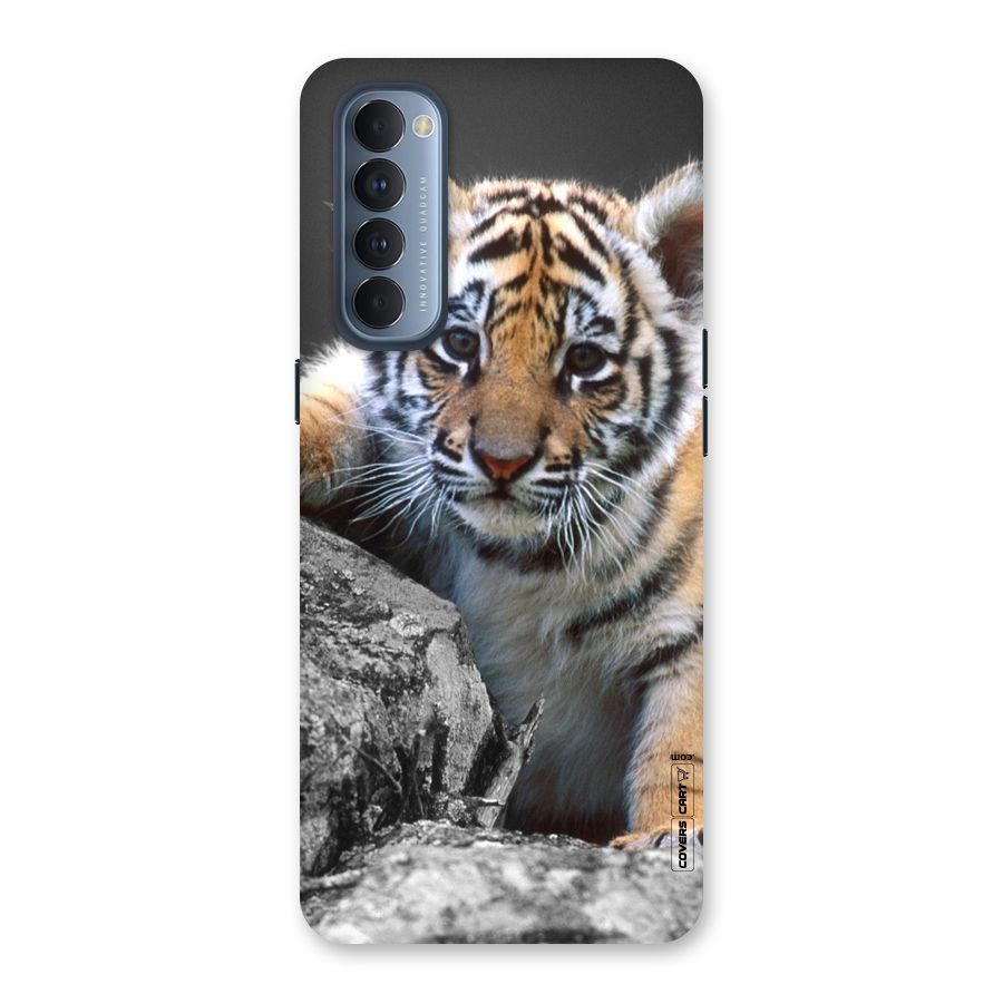 Animal Beauty Back Case for Reno4 Pro