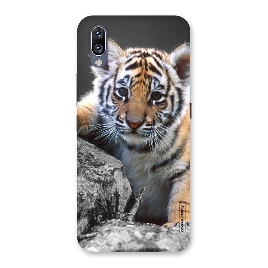 Animal Beauty Back Case for Vivo NEX