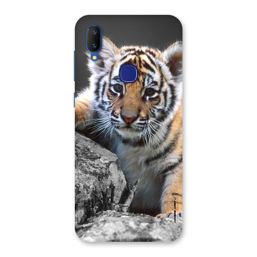 Animal Beauty Back Case for Vivo V11