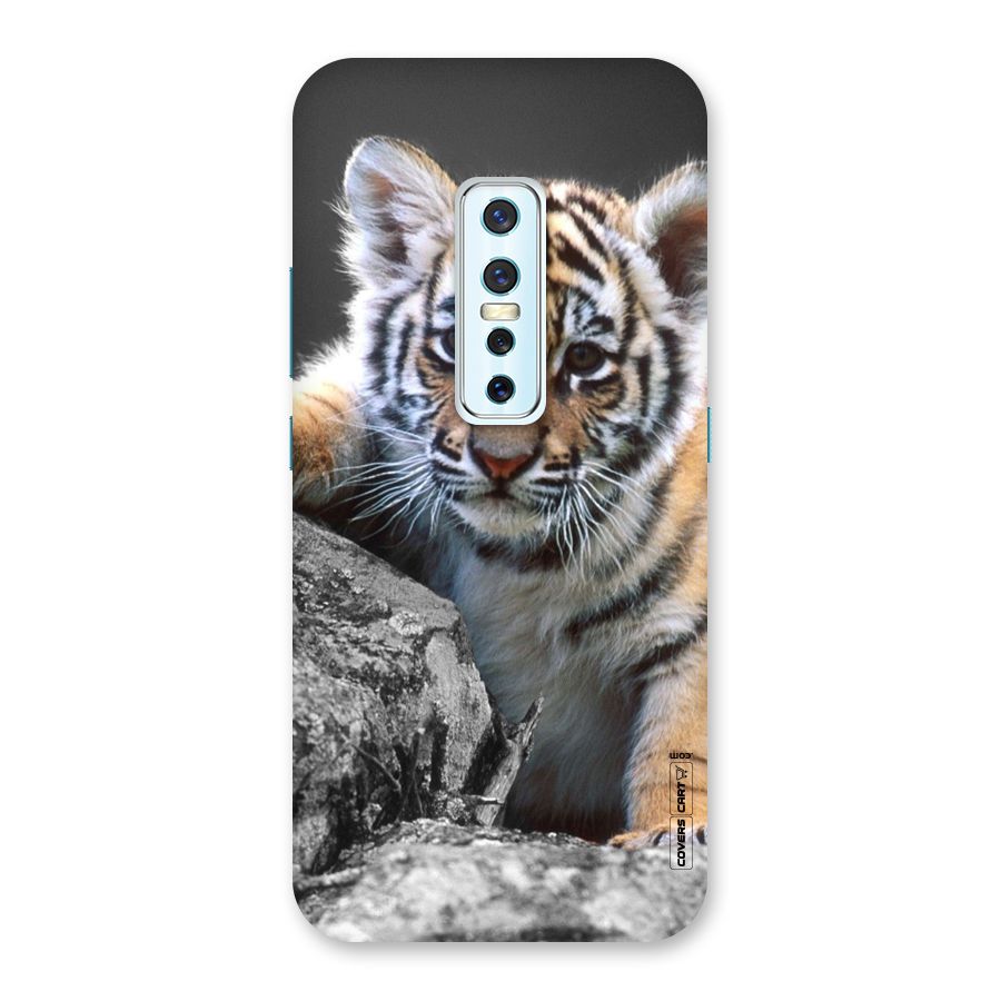 Animal Beauty Back Case for Vivo V17 Pro