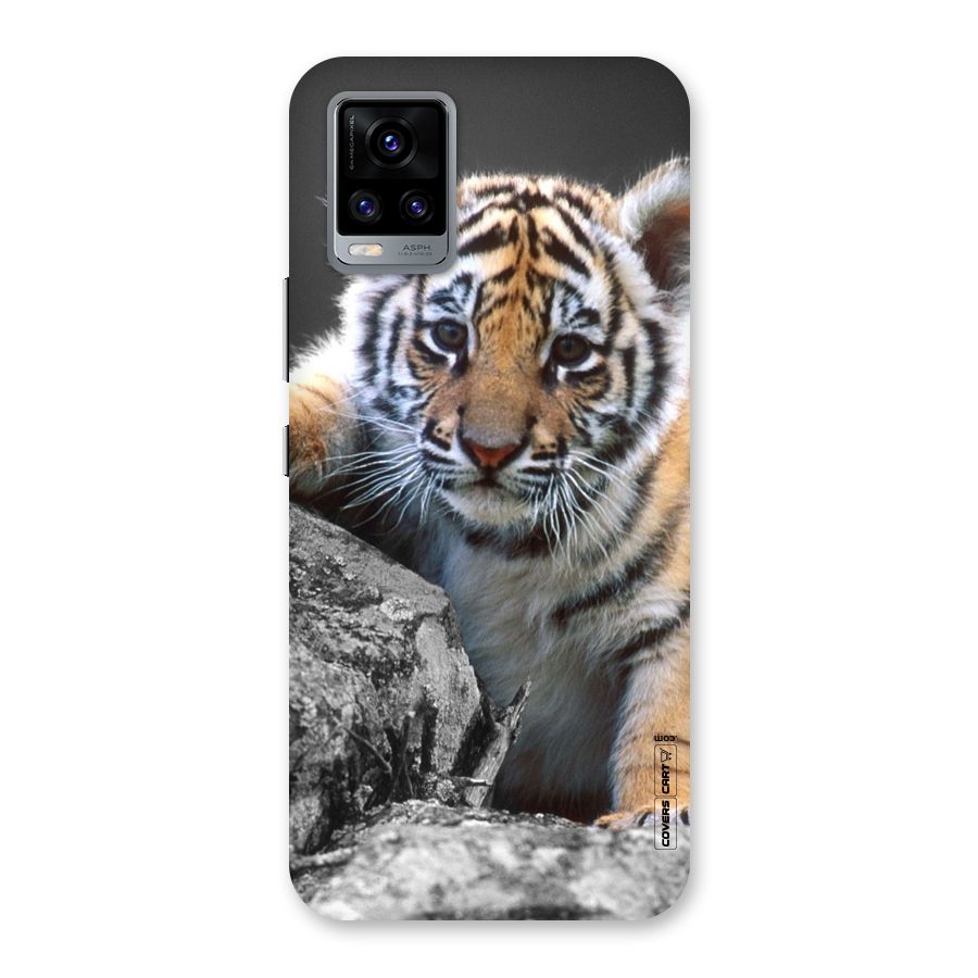 Animal Beauty Back Case for Vivo V20