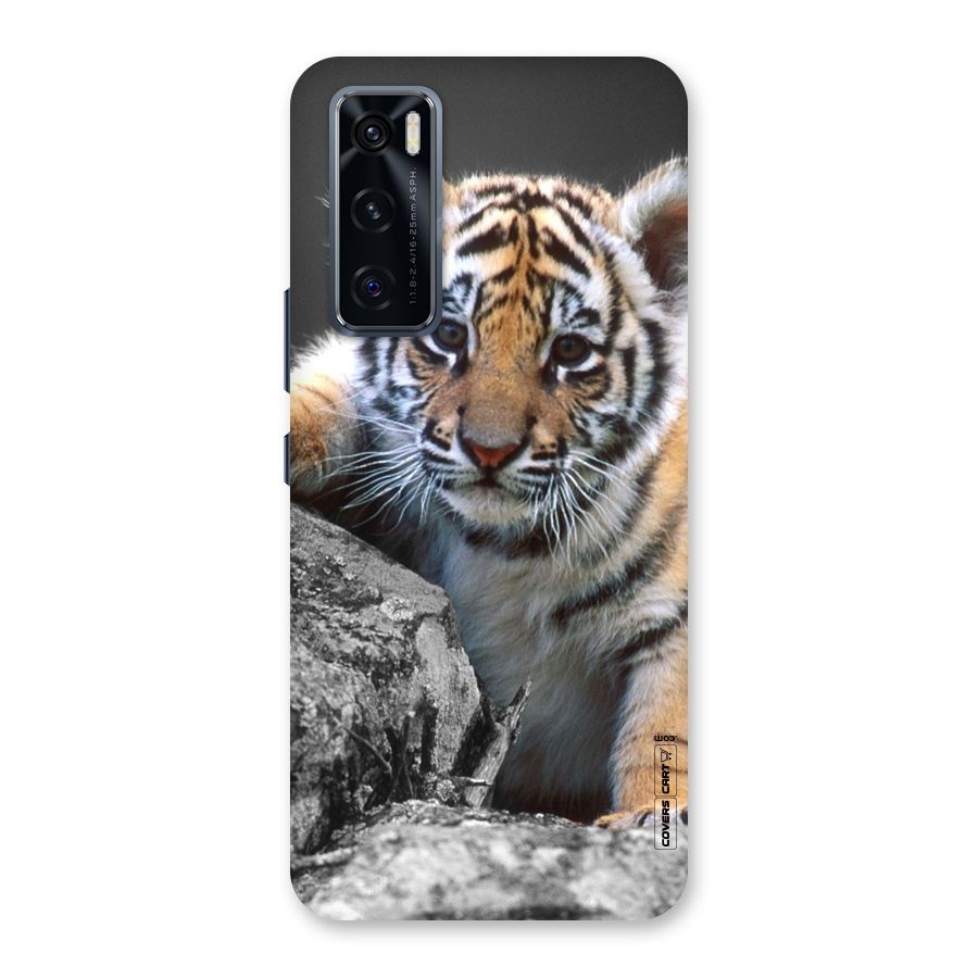 Animal Beauty Back Case for Vivo V20 SE