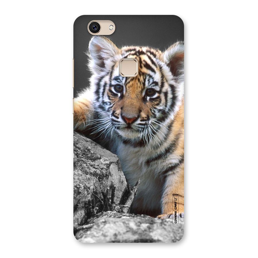 Animal Beauty Back Case for Vivo V7