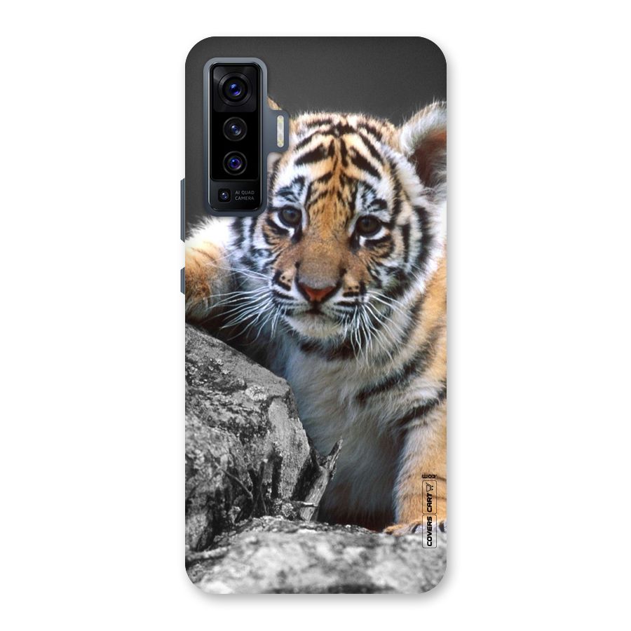 Animal Beauty Back Case for Vivo X50