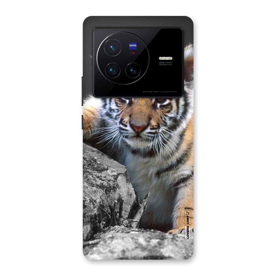 Animal Beauty Back Case for Vivo X80