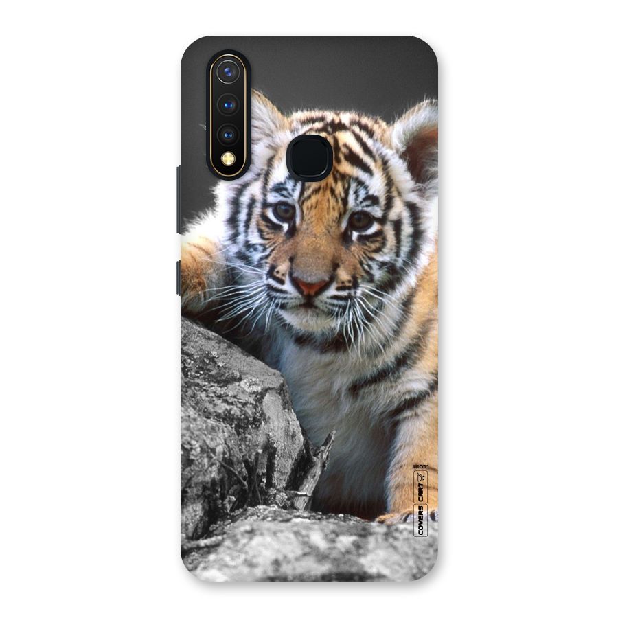 Animal Beauty Back Case for Vivo Y19