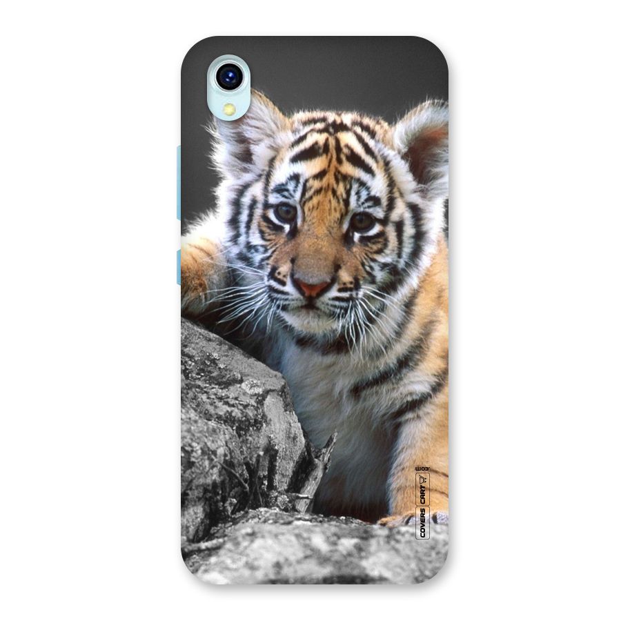 Animal Beauty Back Case for Vivo Y1s