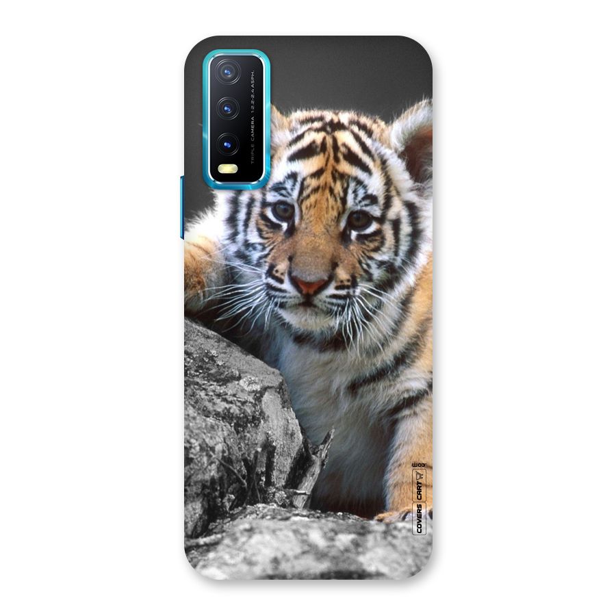 Animal Beauty Back Case for Vivo Y20