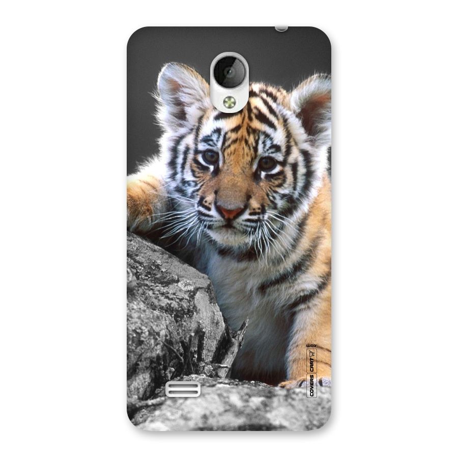 Animal Beauty Back Case for Vivo Y21