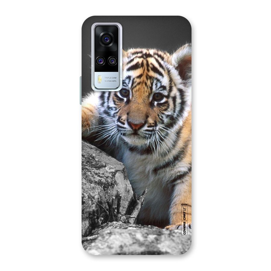Animal Beauty Back Case for Vivo Y31