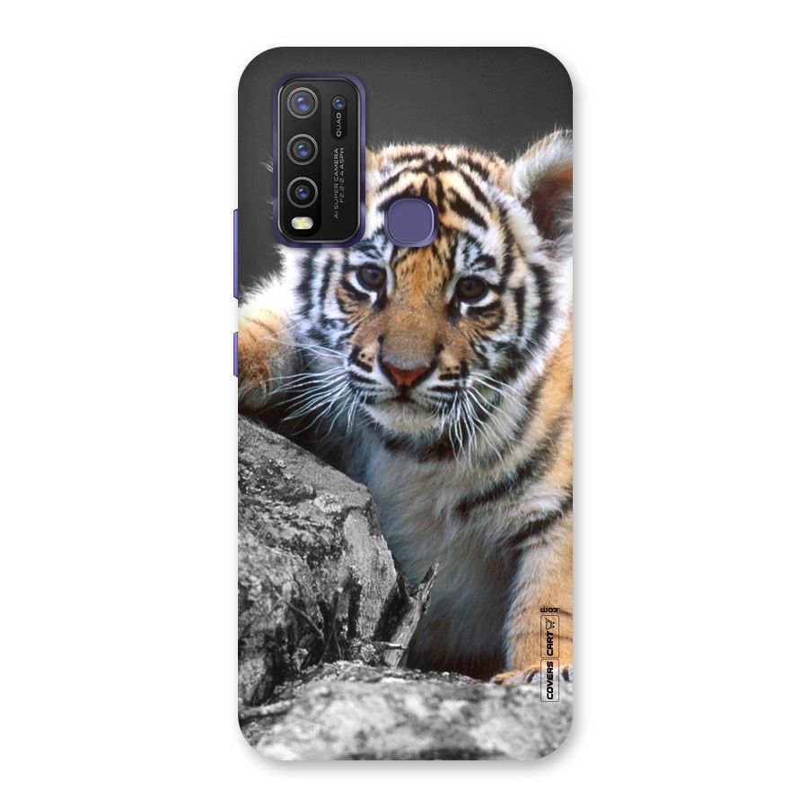 Animal Beauty Back Case for Vivo Y50