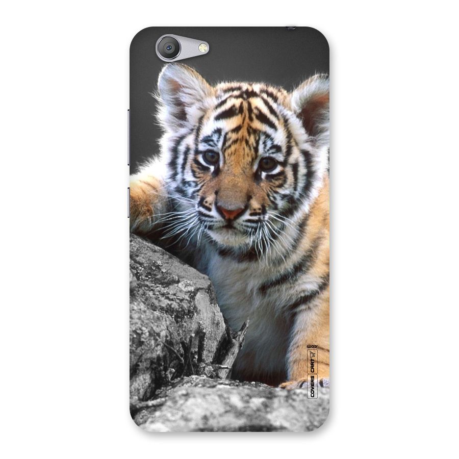Animal Beauty Back Case for Vivo Y53