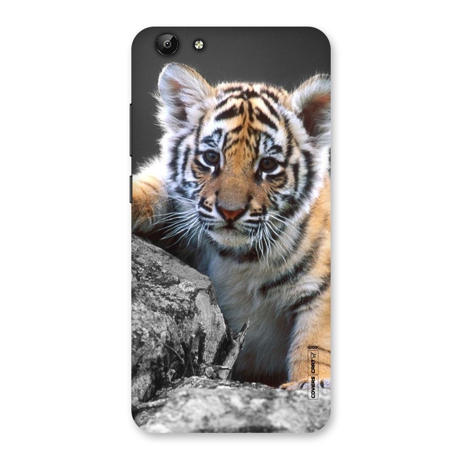 Animal Beauty Back Case for Vivo Y69