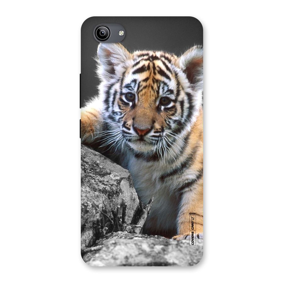 Animal Beauty Back Case for Vivo Y81i