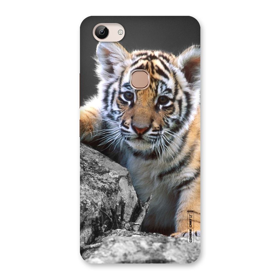 Animal Beauty Back Case for Vivo Y83