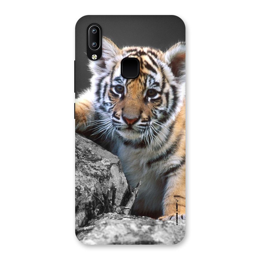 Animal Beauty Back Case for Vivo Y93