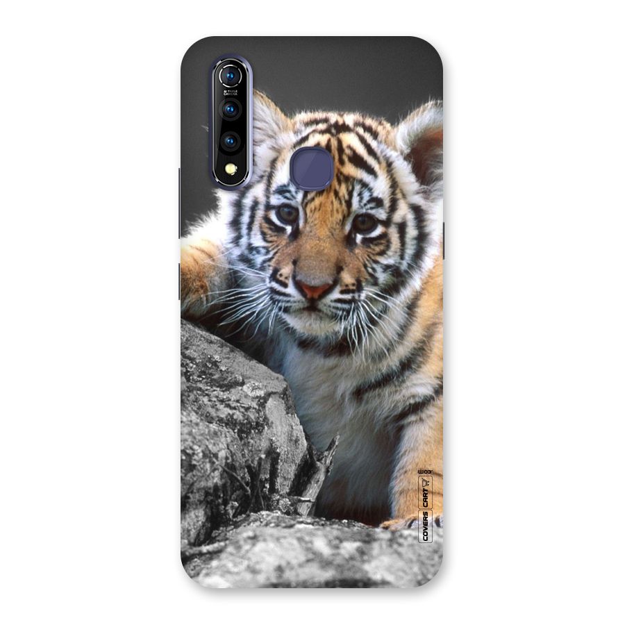 Animal Beauty Back Case for Vivo Z1 Pro