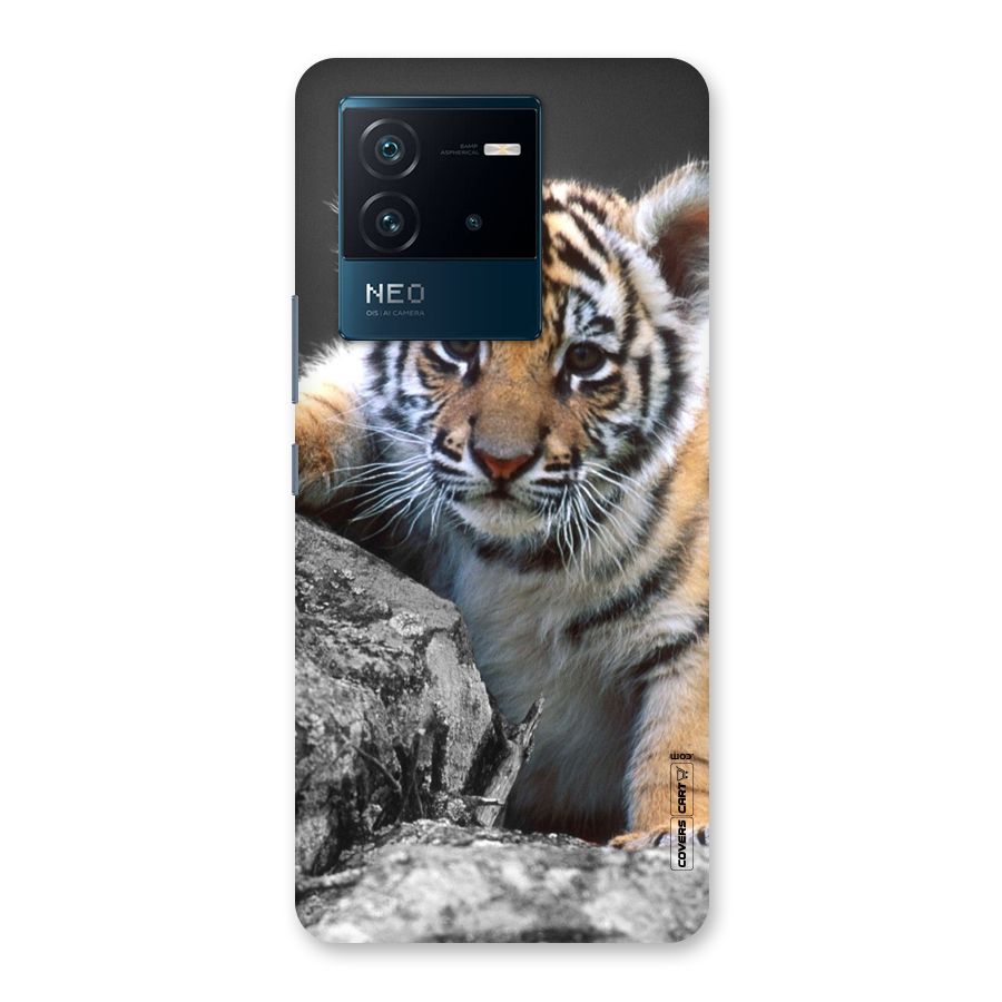 Animal Beauty Back Case for Vivo iQOO Neo 6 5G