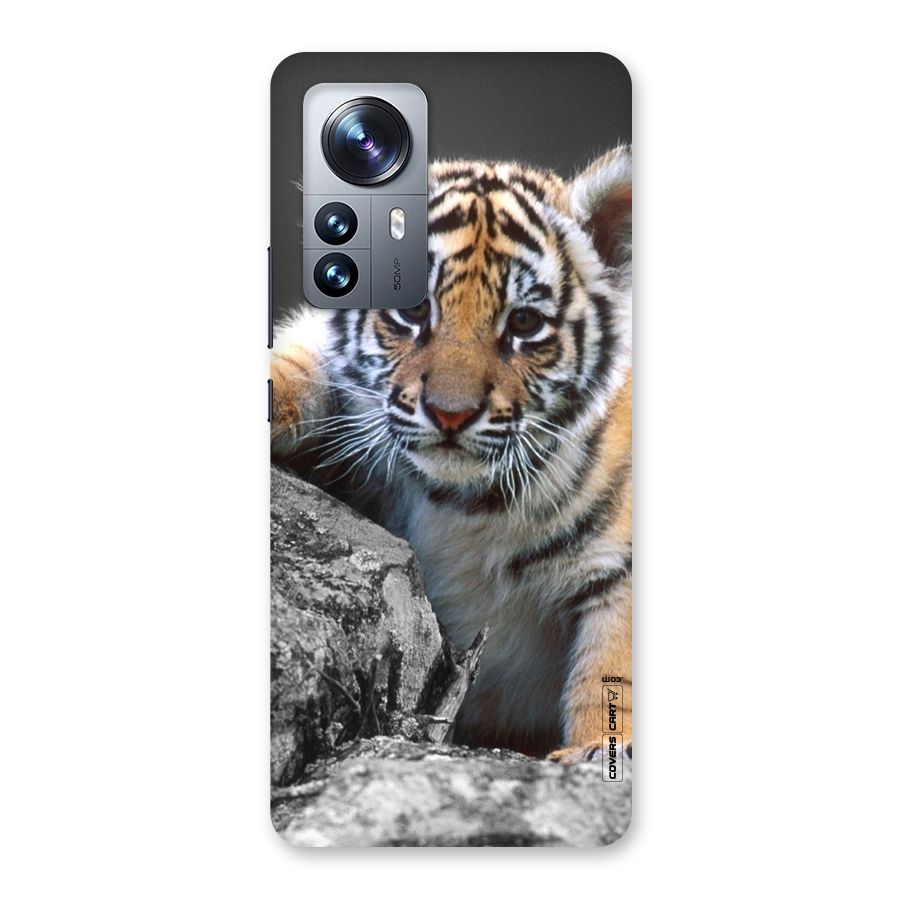 Animal Beauty Back Case for Xiaomi 12 Pro