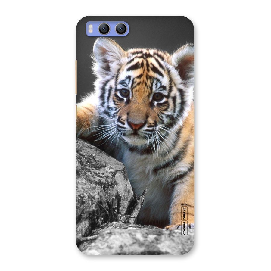 Animal Beauty Back Case for Xiaomi Mi 6