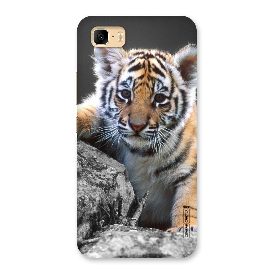 Animal Beauty Back Case for Zenfone 3s Max