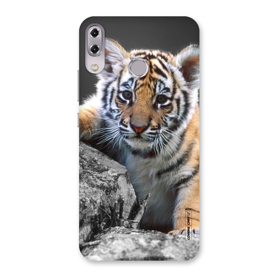 Animal Beauty Back Case for Zenfone 5Z