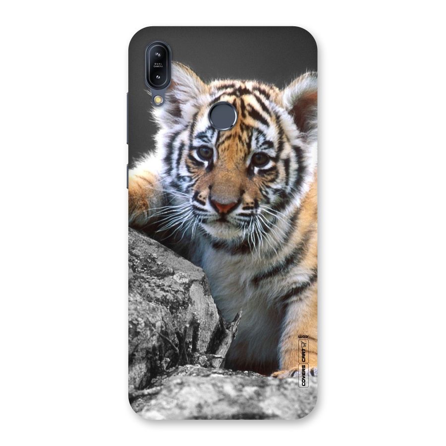 Animal Beauty Back Case for Zenfone Max M2