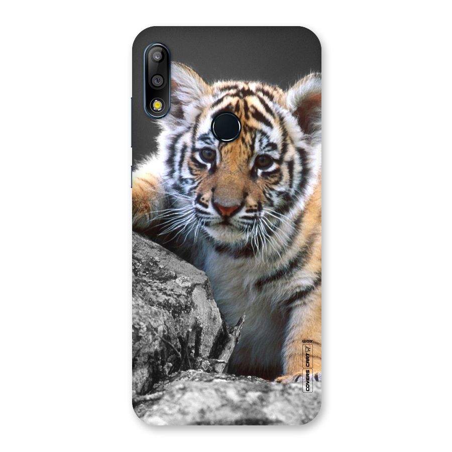 Animal Beauty Back Case for Zenfone Max Pro M2