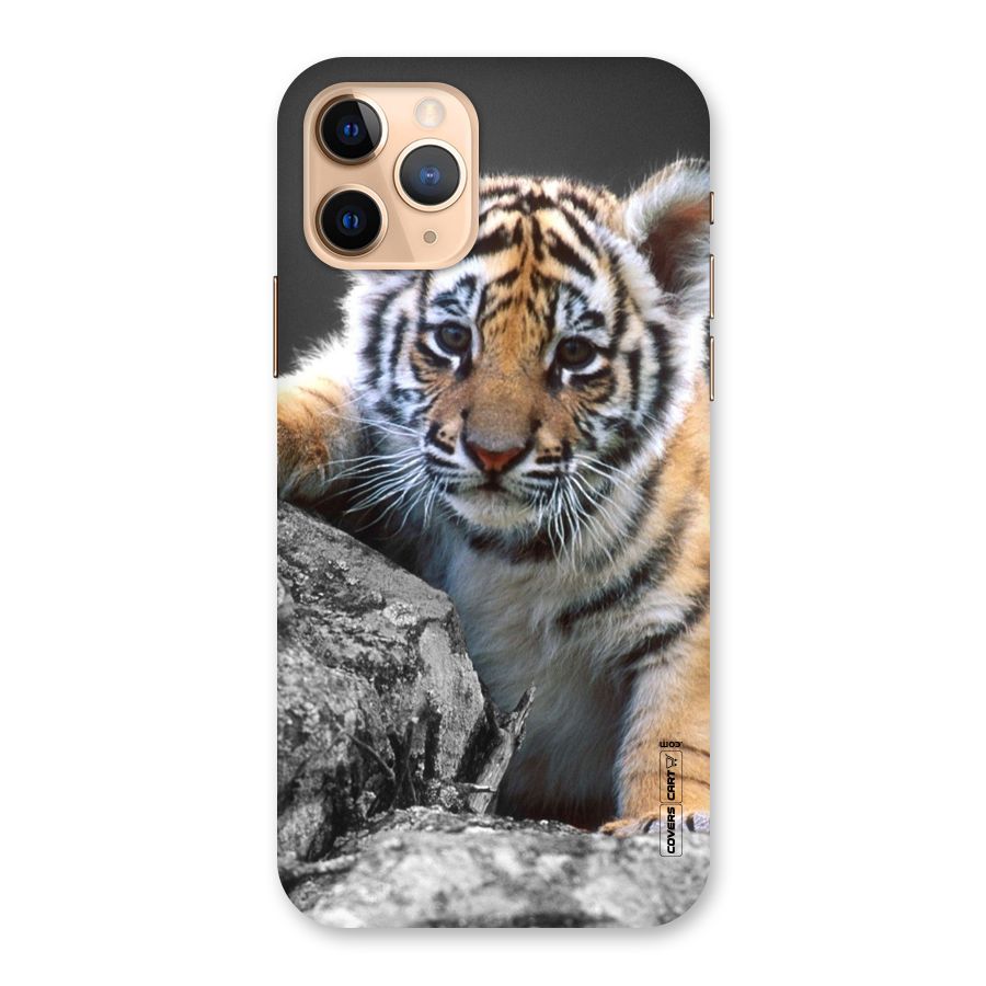 Animal Beauty Back Case for iPhone 11 Pro
