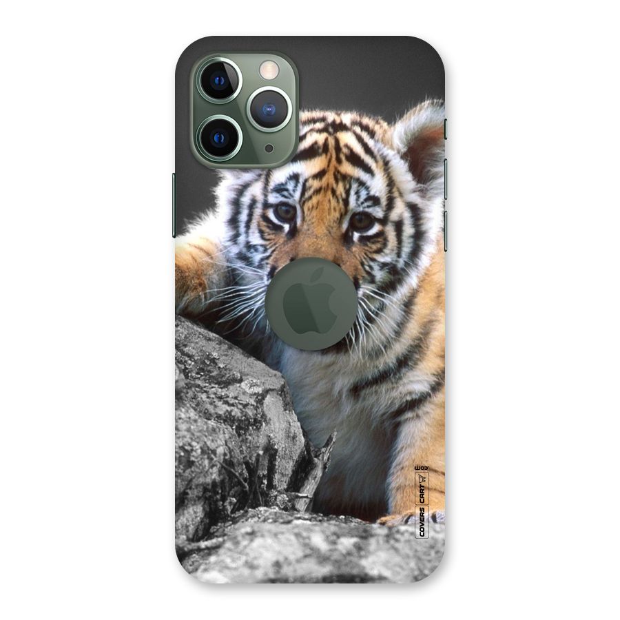 Animal Beauty Back Case for iPhone 11 Pro Logo  Cut