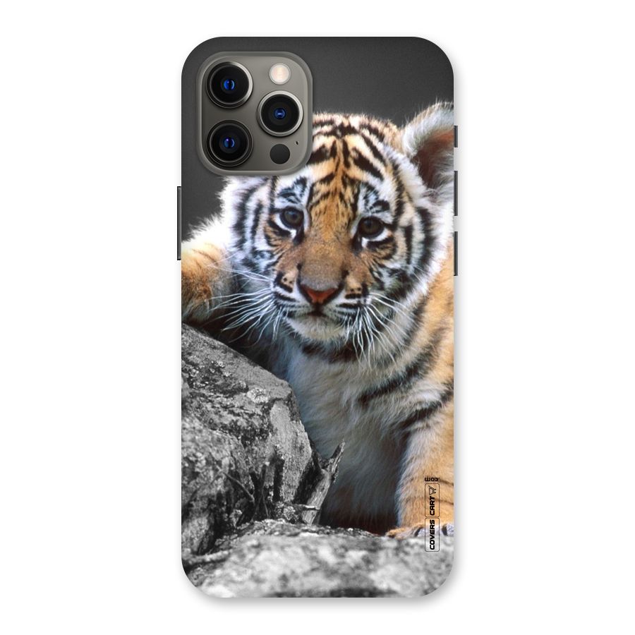 Animal Beauty Back Case for iPhone 12 Pro Max