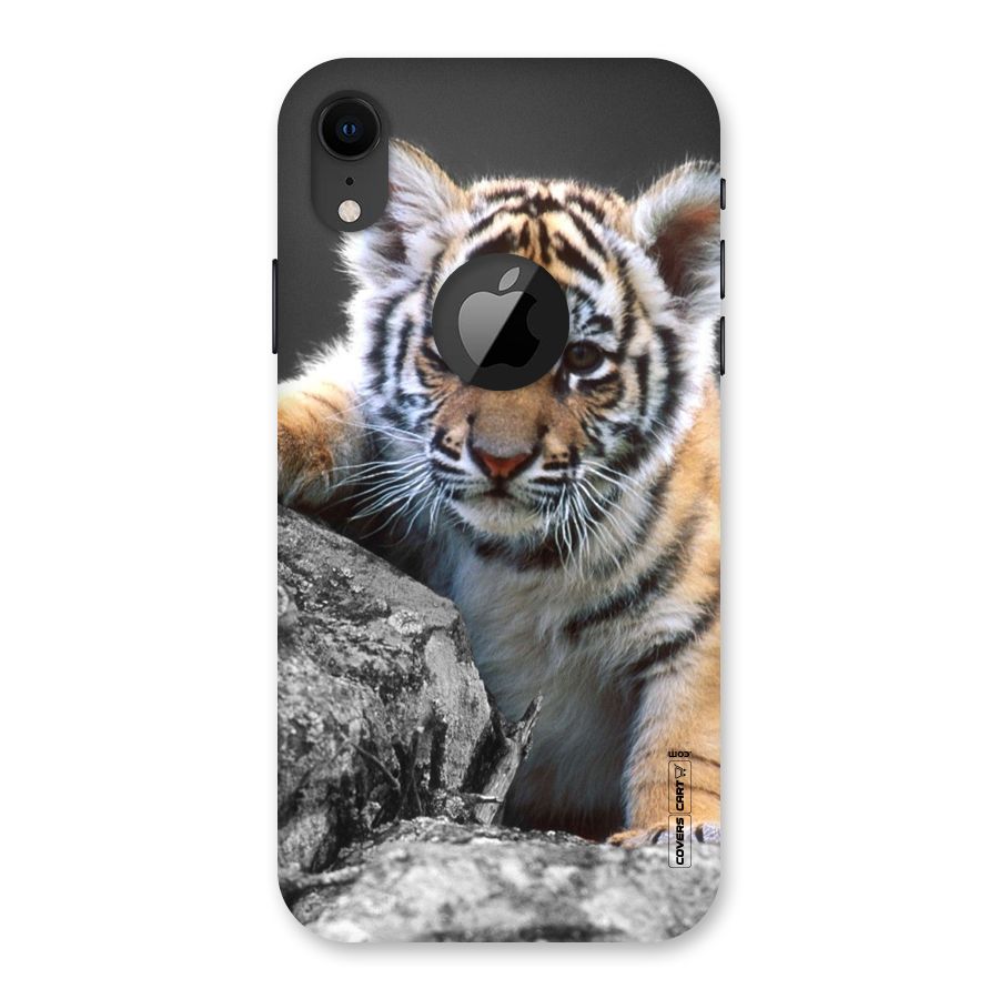 Animal Beauty Back Case for iPhone XR Logo Cut
