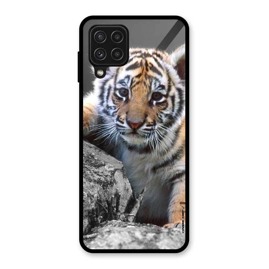 Animal Beauty Glass Back Case for Galaxy A22 4G