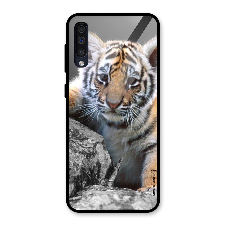 Animal Beauty Glass Back Case for Galaxy A50
