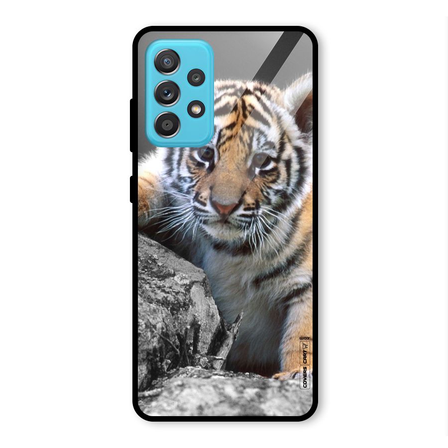 Animal Beauty Glass Back Case for Galaxy A52