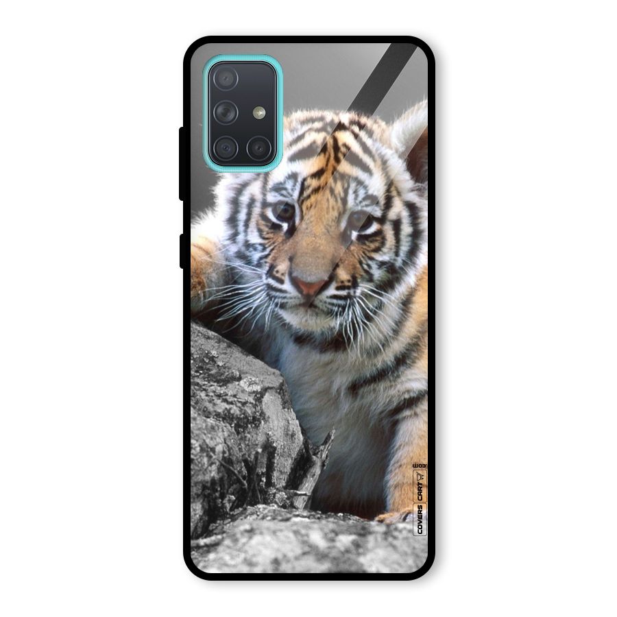 Animal Beauty Glass Back Case for Galaxy A71