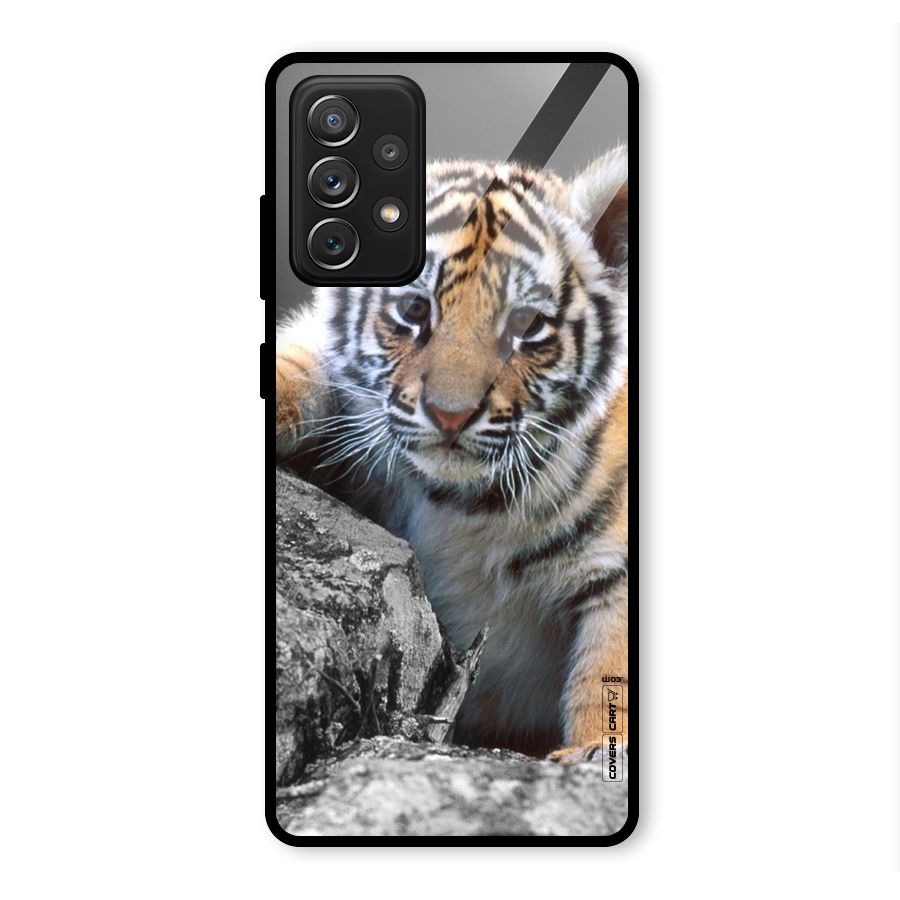 Animal Beauty Glass Back Case for Galaxy A72