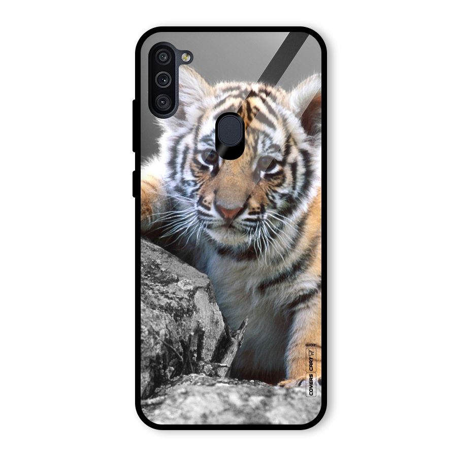 Animal Beauty Glass Back Case for Galaxy M11
