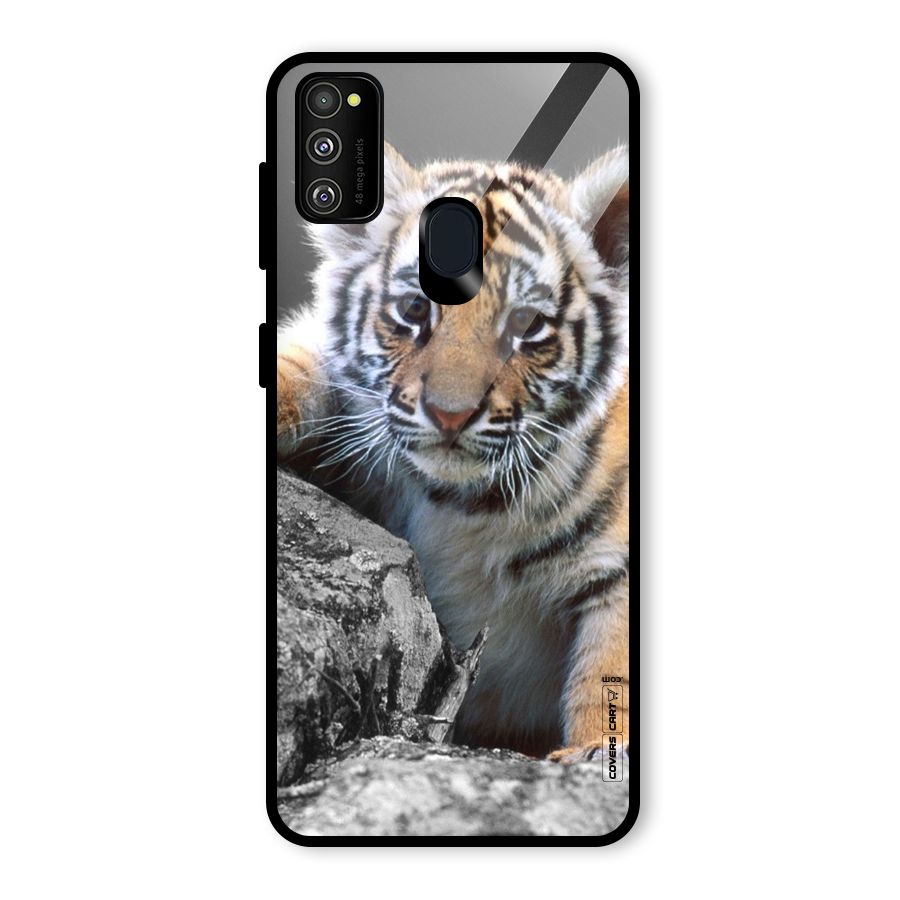 Animal Beauty Glass Back Case for Galaxy M30s