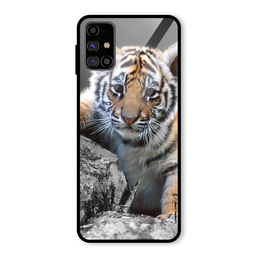 Animal Beauty Glass Back Case for Galaxy M31s