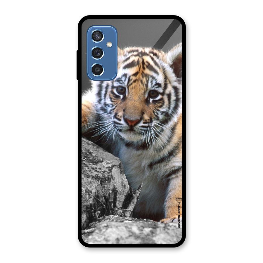 Animal Beauty Glass Back Case for Galaxy M52 5G