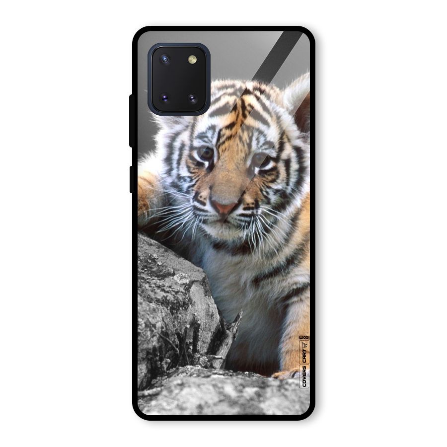 Animal Beauty Glass Back Case for Galaxy Note 10 Lite