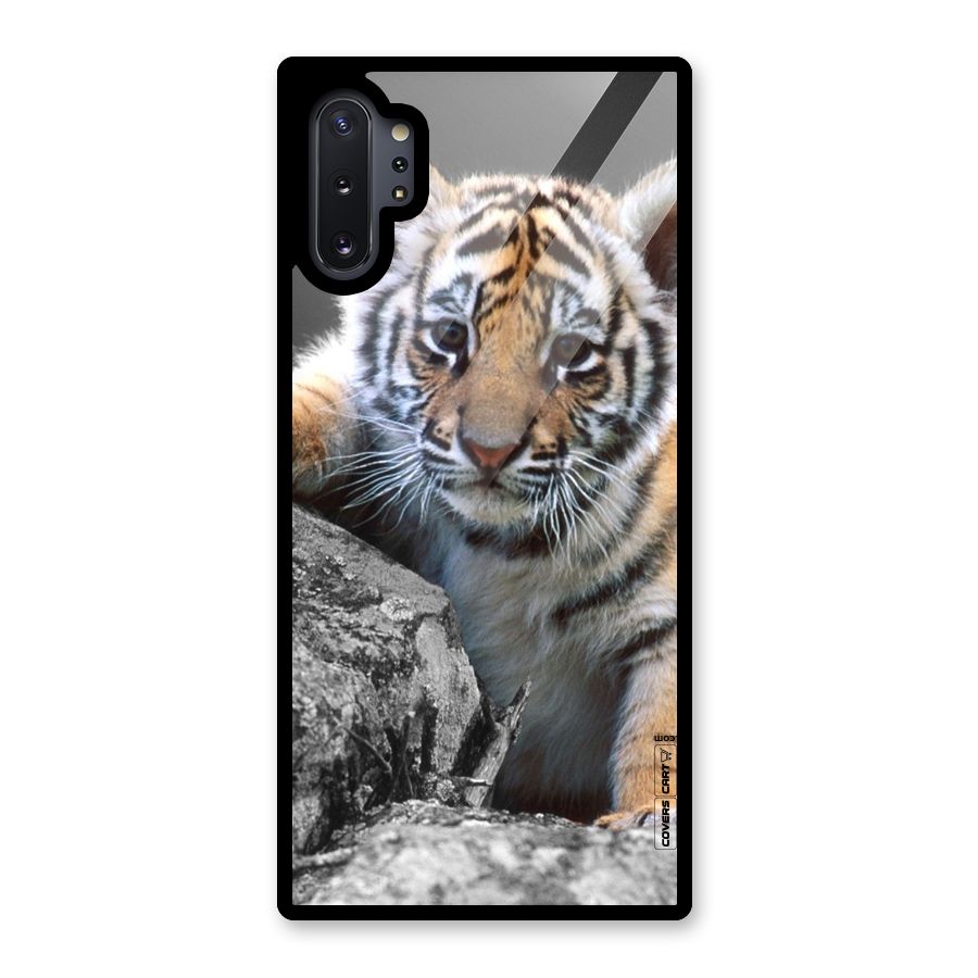 Animal Beauty Glass Back Case for Galaxy Note 10 Plus