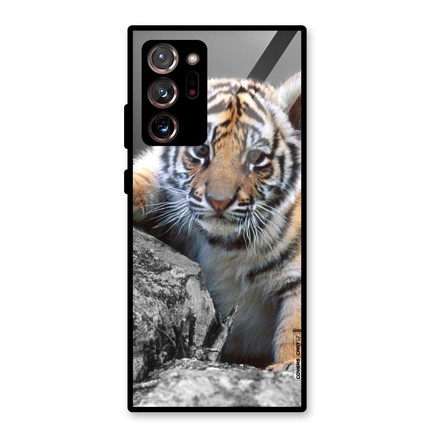 Animal Beauty Glass Back Case for Galaxy Note 20 Ultra