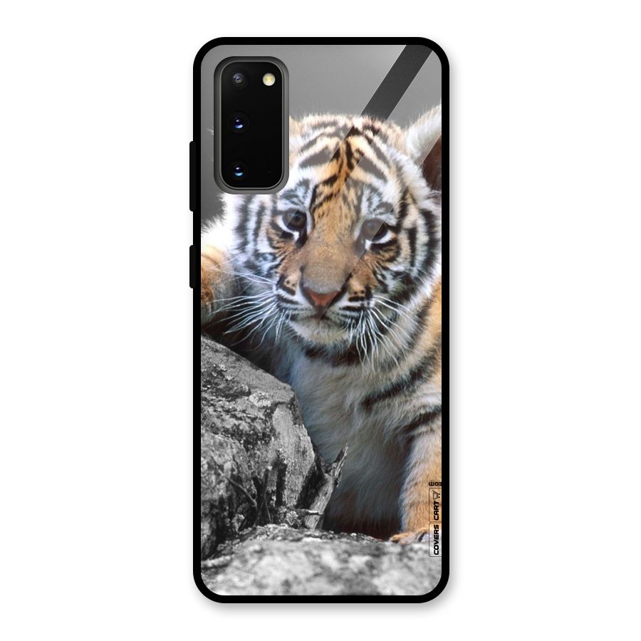 Animal Beauty Glass Back Case for Galaxy S20