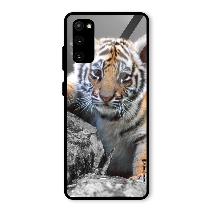 Animal Beauty Glass Back Case for Galaxy S20 FE 5G