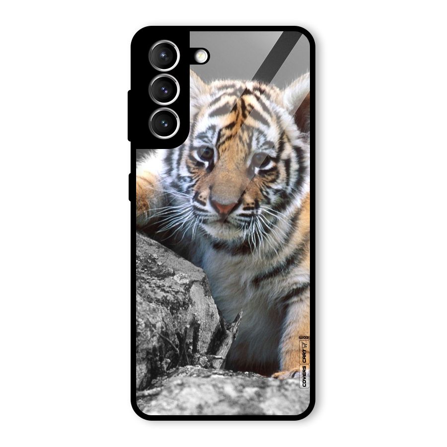 Animal Beauty Glass Back Case for Galaxy S21 5G